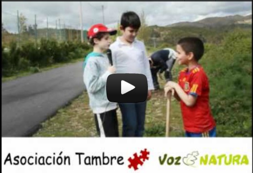 Reforestación con Voz Natura