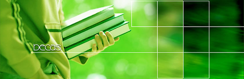 Becas para las convivencias de verano